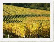 2004-10-24_15-05-07_Octobre_135,0mm_1_125_eme_DiMAGE A2 * 2080 x 1560 * (2.29MB)